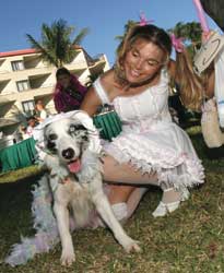 2003 Pet Masquerade photo - Duval Street, Key West